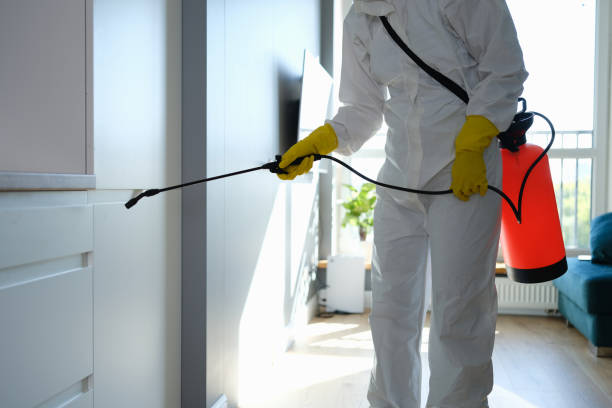 Best Bathroom Mold Remediation in New Providence, NJ